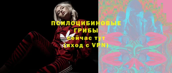 ешки Беломорск
